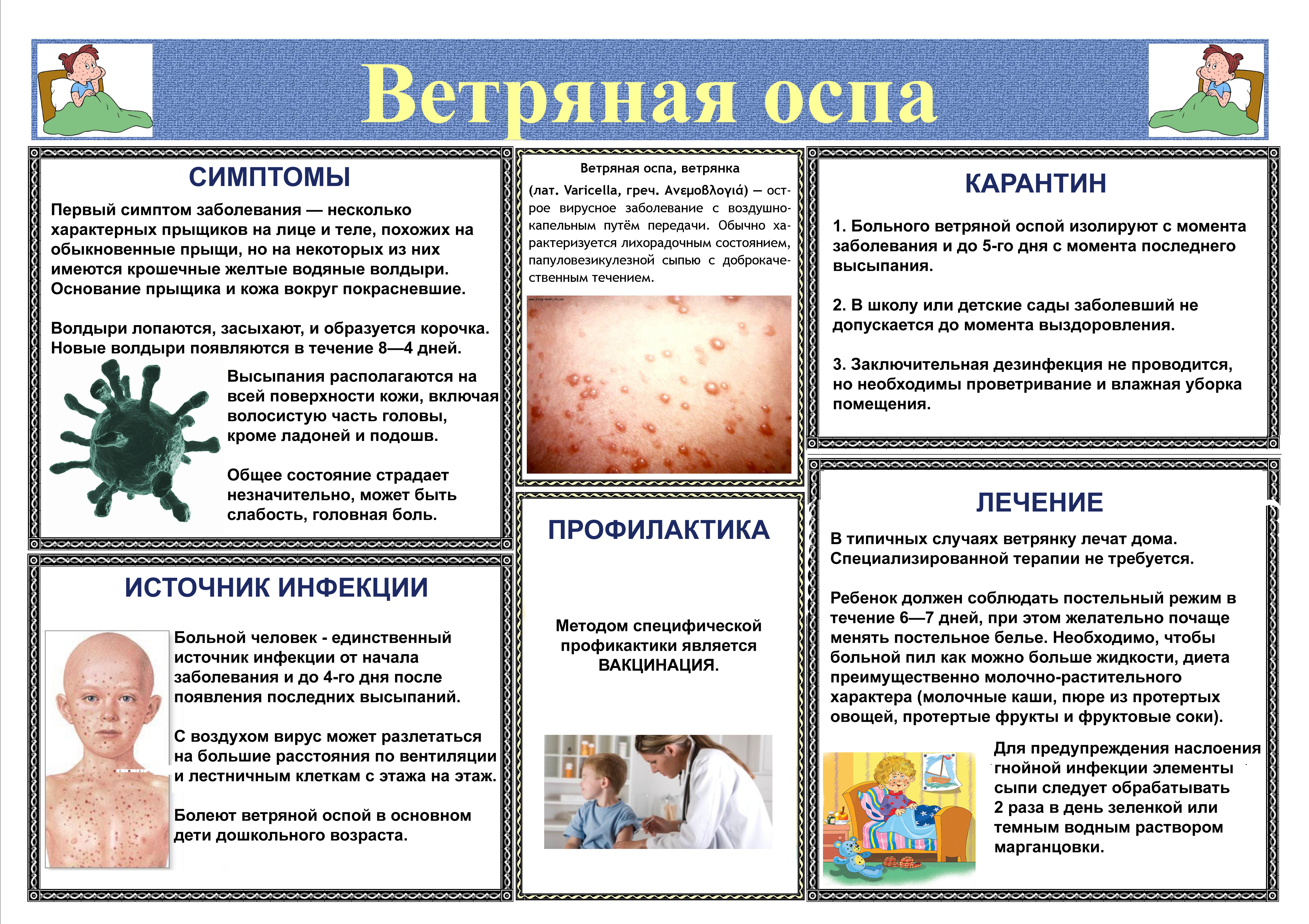 Изображения.